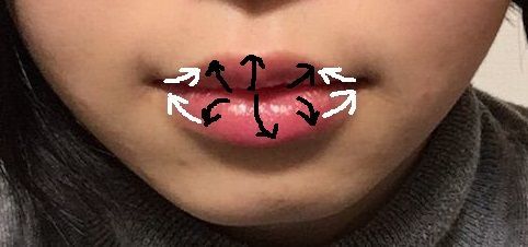 f:id:mezasuhaslowlife:20190203181406j:plain