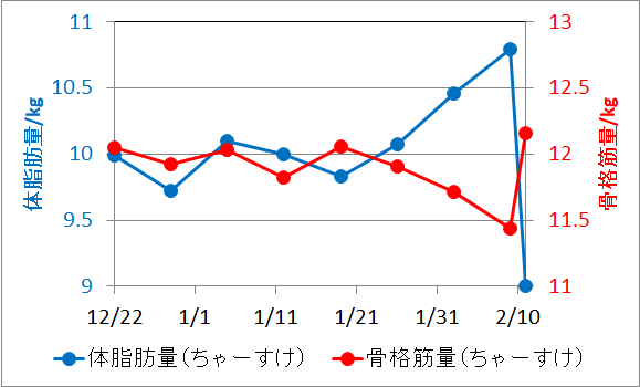 f:id:mezasuhaslowlife:20190217184535p:plain